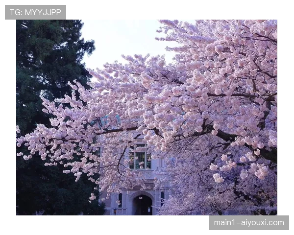 东华盛顿大学对阵西雅图大学 淡厚然迎主场亮相机会